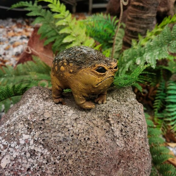 Grumpy Frog Toad Statue Ugly Angry Outdoor Garden Yard Fun Home Office Decor - Picture 3 of 8